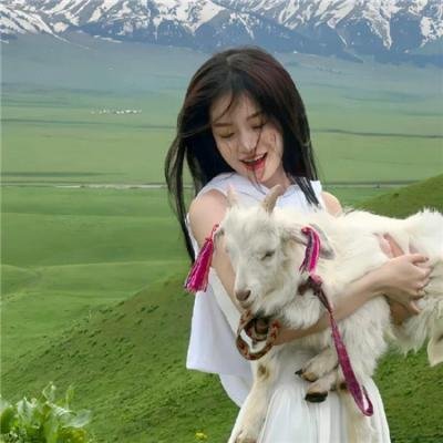 如果历史是一群喵 第三季
